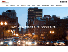 Tablet Screenshot of dev.downtownalbany.org